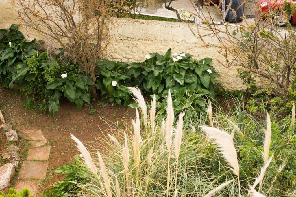 Вилла Tatiana'S Garden House Ханья Экстерьер фото